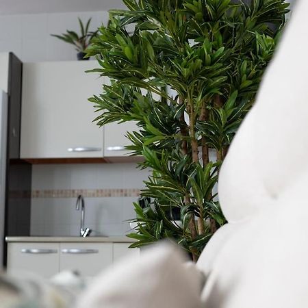 Appartamento Trinidad Aparment Málaga Esterno foto
